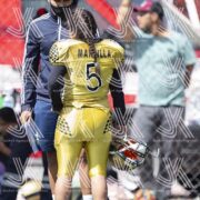 buhos_femenil_J5