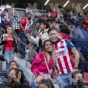 toluca_vs_guadalajara_j05_cl23